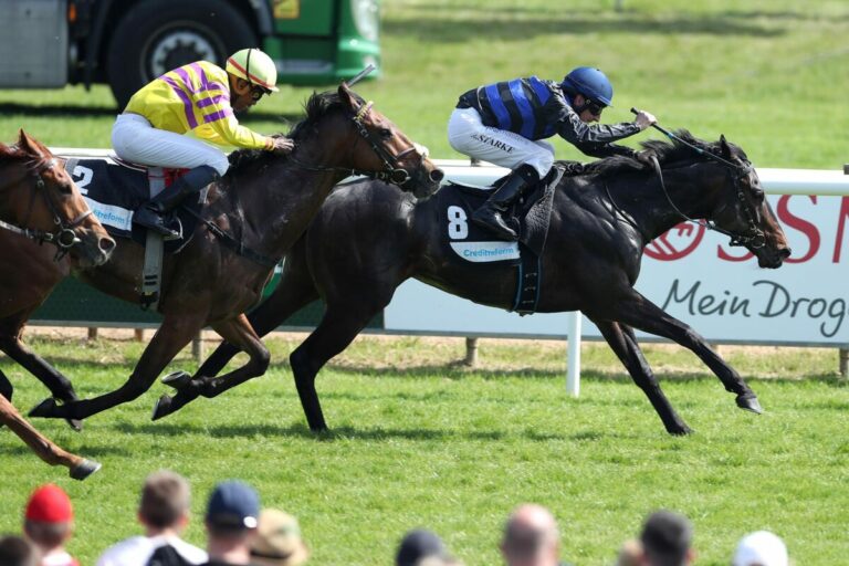 Shazan und Namoa sorgen für Heimsiege