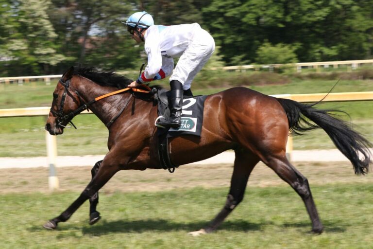 Son Gual letzter Hassloch-Sieger