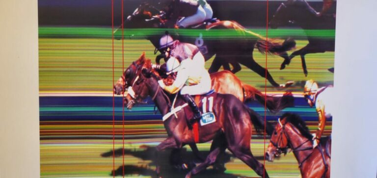 35,9:1 – Summer Storm stürmt zum Überraschungssieg