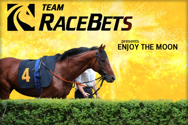 RaceBets gründet Rennstall: Team RaceBets geht an den Start