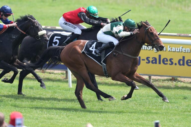 Heimsieg durch Tough Tom im zweiten Maidenrennen