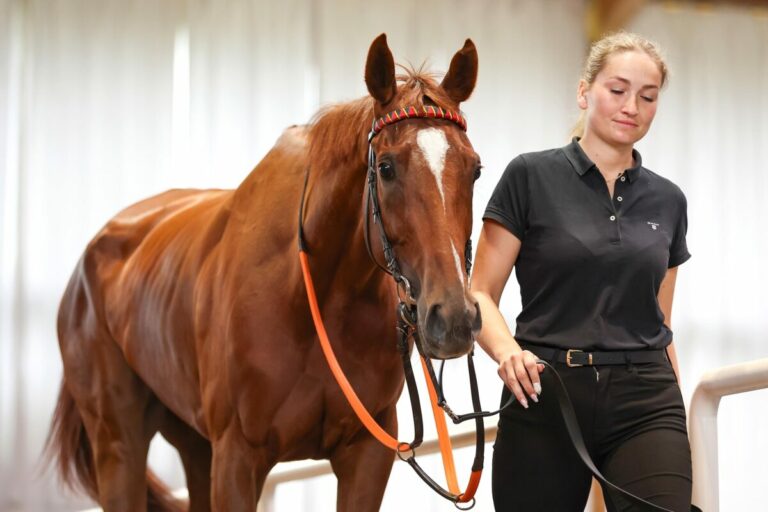 Ultima im Ring der BBAG