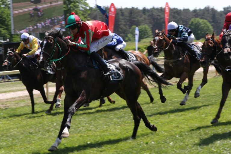 Walid ist Scardinos 199. Sieger