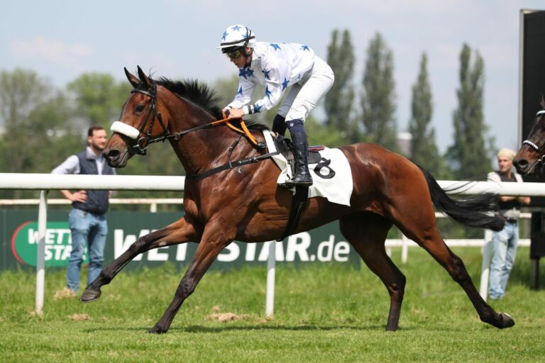 Weragua mit Richter und Vogt-Form