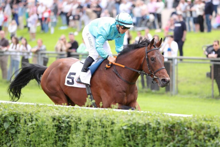 Why Limit für 1,1:1 – Deutscher Zwilling bei den Dreijährigen