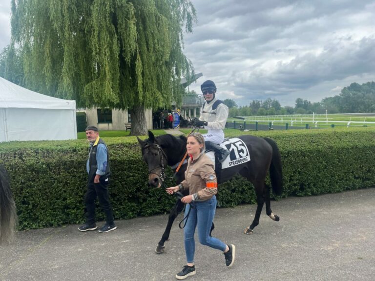 Schleppis You’ve got Sail dritter deutscher Straßburg-Sieger