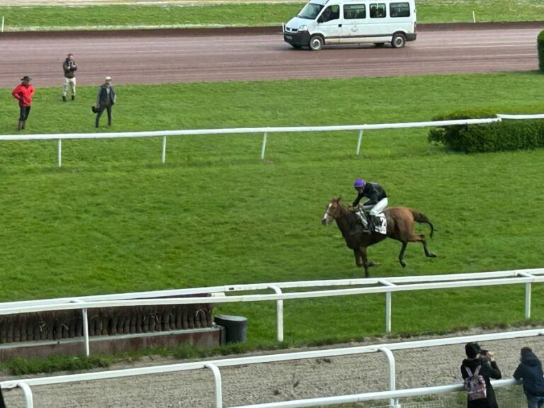Immer wieder Cabot Cliffs – Recke-Schützling gewinnt Hürdenrennen in Nancy
