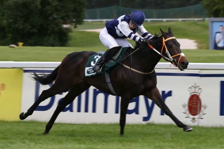 Eiskalt zugebissen – Löwe siegt mit Podcast-Tipp Heshima