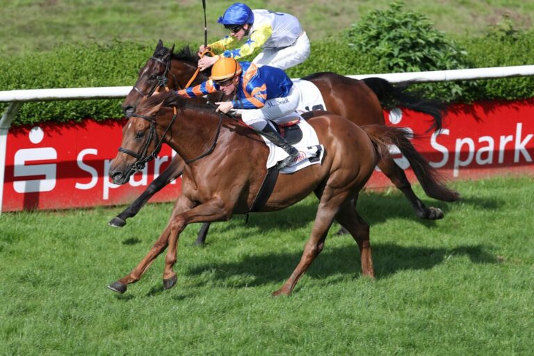 Außenseiter Lion Hunter gewinnt Viererwetten-Rennen