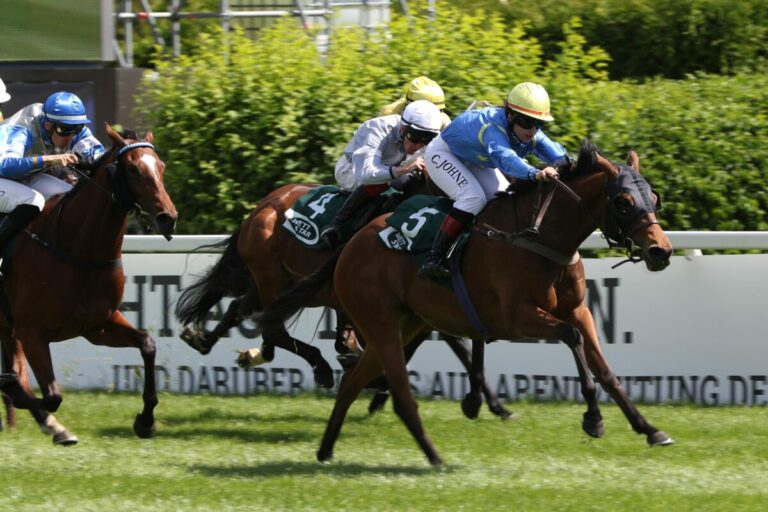 Wie in 2023: Northern Starlet mit Heimsieg im Frühling