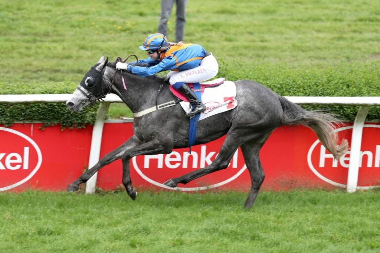 North Fire und Chili Valentino lassen Favoritenwetter jubeln