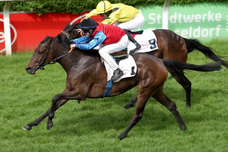 Erfolgreich zurückgemeldet: Winterkönigin Shagara gewinnt Henkel-Stutenpreis