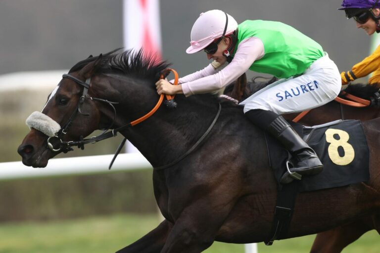 Darius Racing-Galopper Shahbazi in Paris ohne Chance