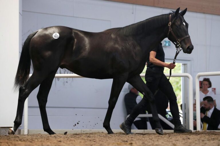 Brümmerhofer 170.000 Euro-Verkauf heute in Sandown