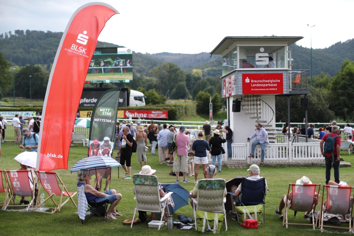 Der Hund der auszog ein Rennen zu verzögern - GaloppOnline.de