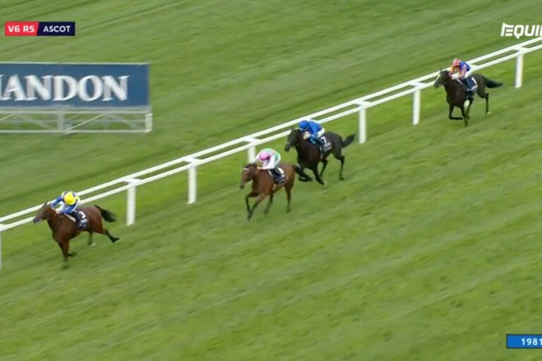 So geht’s weiter mit Goliath – Eher Köln als Baden-Baden