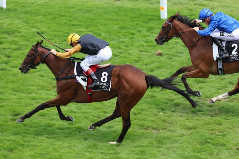Seidl wie entfesselt – Narmada gewinnt Japan Racing Association Trophy