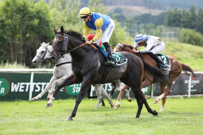 Auftakt im Harz: Super-Handicap, zwei Viererwetten und Hindernis-Star