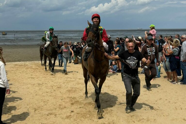 Summerwind und Santangelo sind die letzten Cuxhavener Galopp-Sieger
