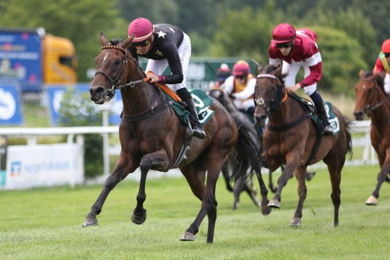 Boden, Distanz, Jockey – Alles passt für Quarantini