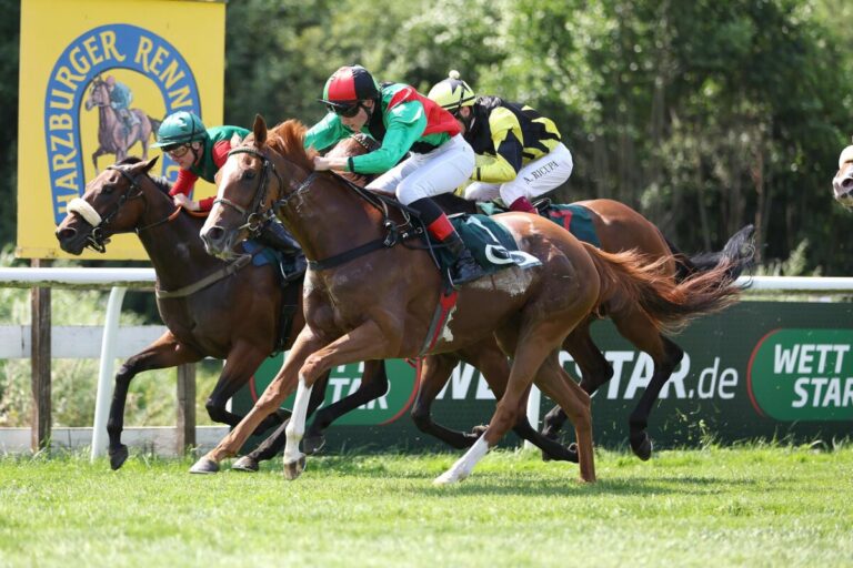 Bad Harzburg-Auftakt: Time To Soar auch im Handicap top