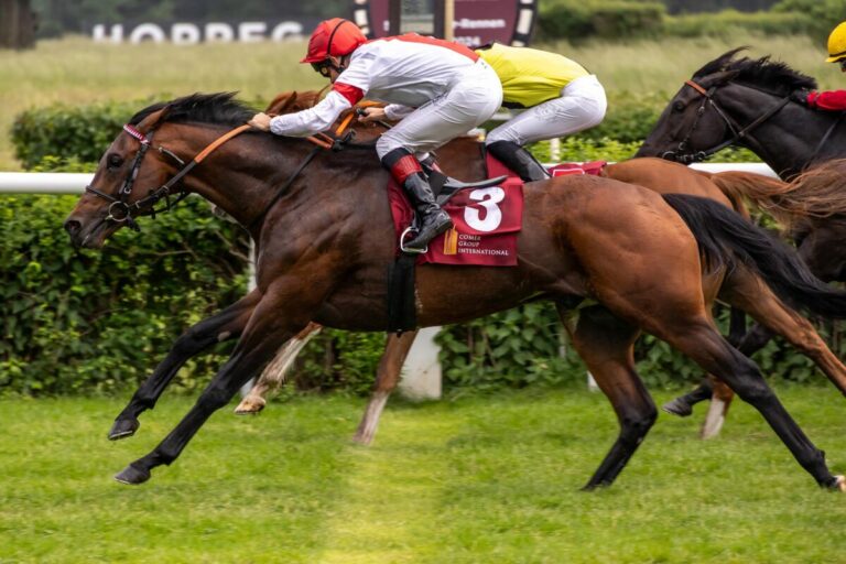 Alessio siegt gegen Waldadler