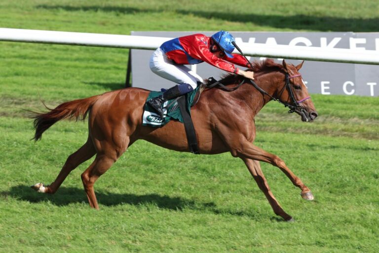 Stall Mandarins Almenkönig Wöhlers erster Meetingstreffer