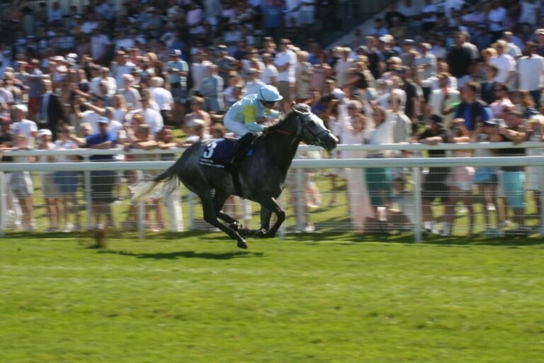 Erste Stuten von Newcomern Charyn und Bradsell tragend gemeldet