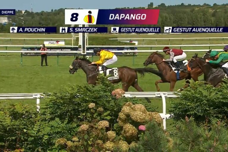 Dapango zurück auf der Siegerstraße – Pouchin lässt bislang nichts liegen