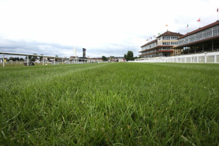 Zum Start der Grossen Woche – Boden am Freitag „gut bis weich“