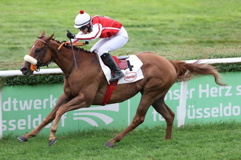 Der Prince nach zwei Jahren endlich wieder auf der Siegerstraße