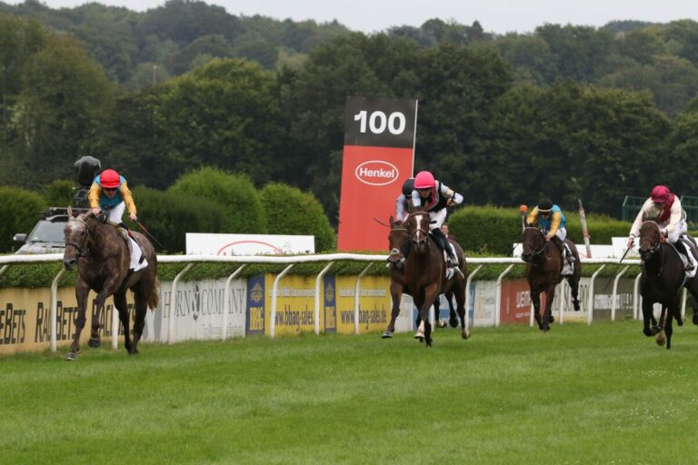 Henkel-Preis der Diana – Das sagen die Platzierten