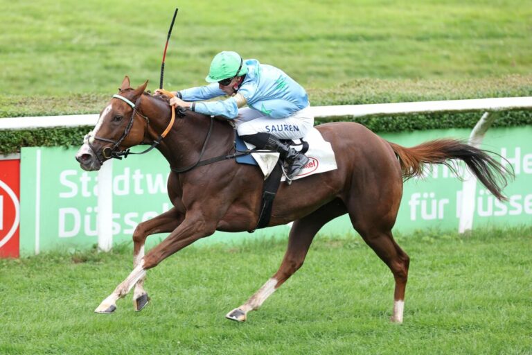 Außenseiter vorne im World Pool Handicap