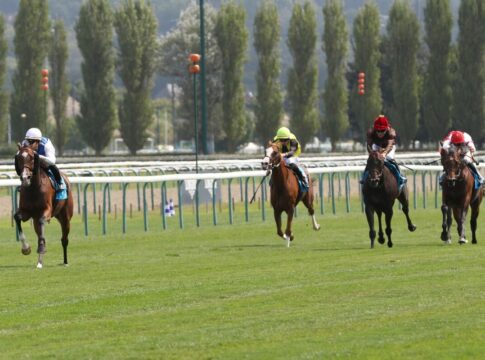 Double Major siegt unter Stephane Pasquier im Sumbe Prix Kergorlay, Gr.2