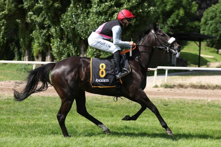 Stuten-Auktionsrennen: Karlshofer Doppelchance auf die Titelverteidigung