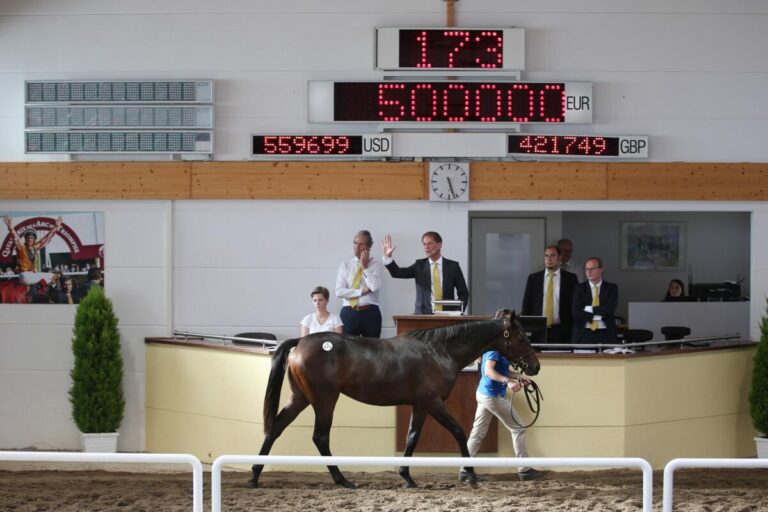 Arqana: 850.000 für Hengst aus Ebbesloher Stute, 1,4 Mio Tageshöchstpreis