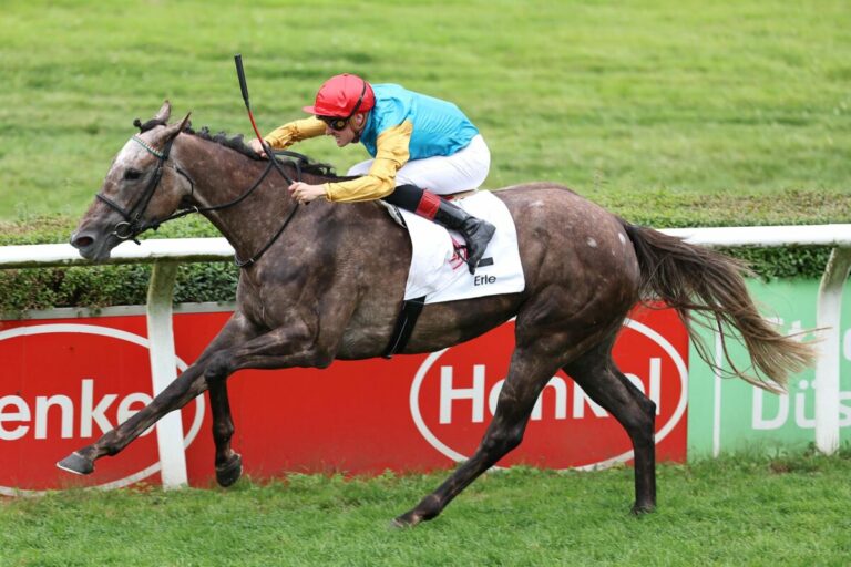 Röttgenerin Erle gewinnt Henkel-Preis der Diana