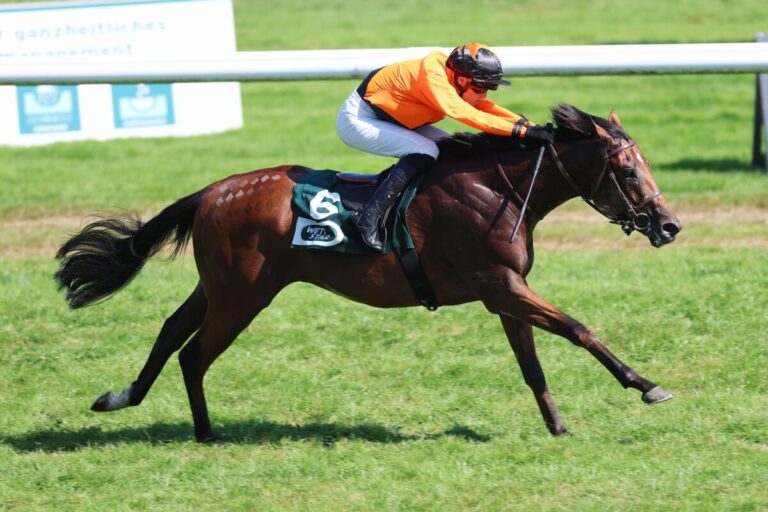 Freigeists emotionaler Sieg für verstorbenen Züchter Bodenstedt und Fellow