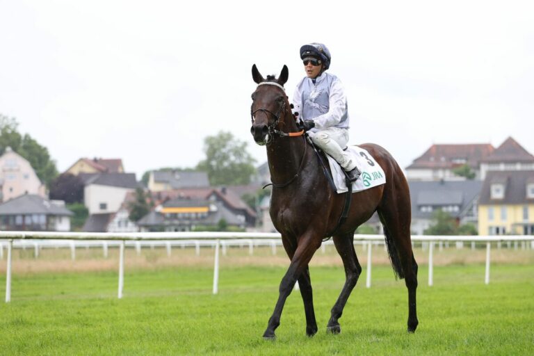 Adelresorts Geminiano in der Tierklinik eingegangen