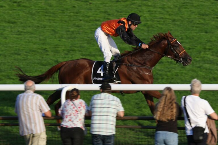 Nun acht im Highlight am Sonntag – Auch Lips Prince nachgenannt