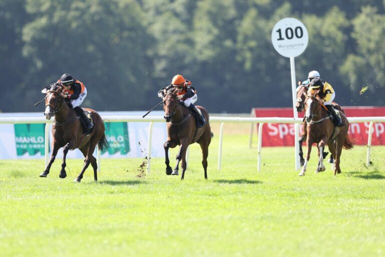 Germanius-Einlauf zum Hoppegarten-Auftakt – Witcher of Lips siegreich