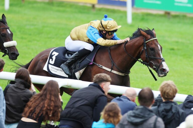 Völlig unterschätzt! Kammuri Diamond siegt für 14:0:1