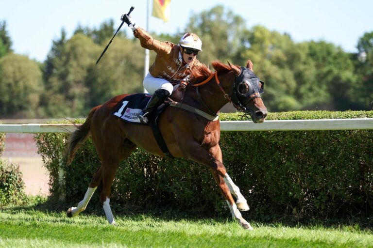 Kito hochüberlegen: Weißmeier-Sieg zum Auftakt in Saarbrücken