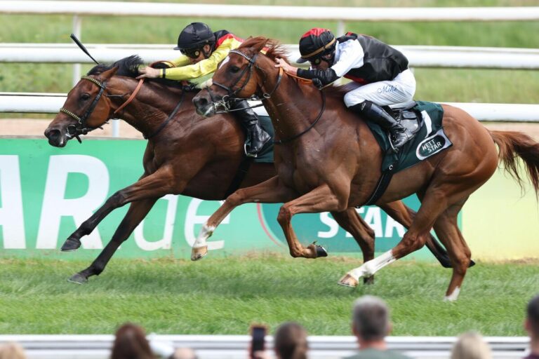 Auenquelle schlägt Bringo bei Weiß-Zweierwette – Noble Luno setzt sich durch