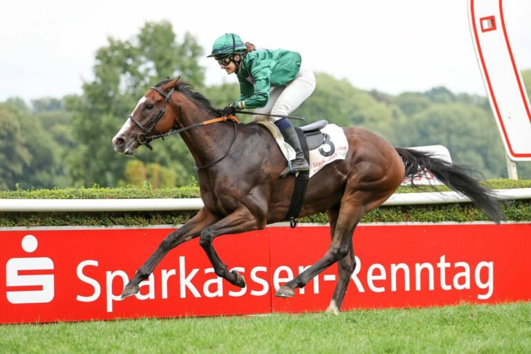 Außenseiter Montanus überrascht im Listenrennen