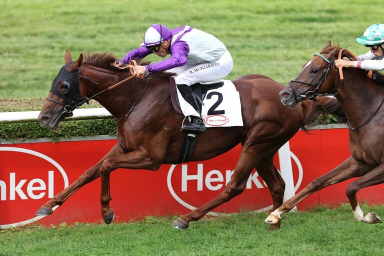 Scheuklappen wirken auch bei Napolitano Wunder