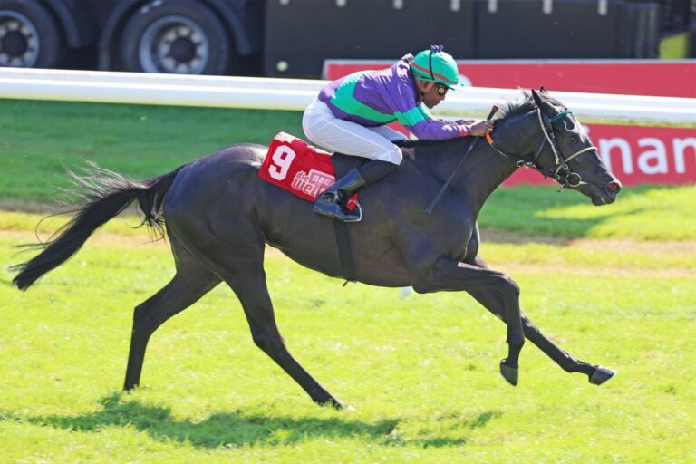 Wöhler Night of Laki’s standesgemäß zum ersten Karrieresieg