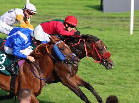 Nishiki Kamuro siegt unter Janina Boysen