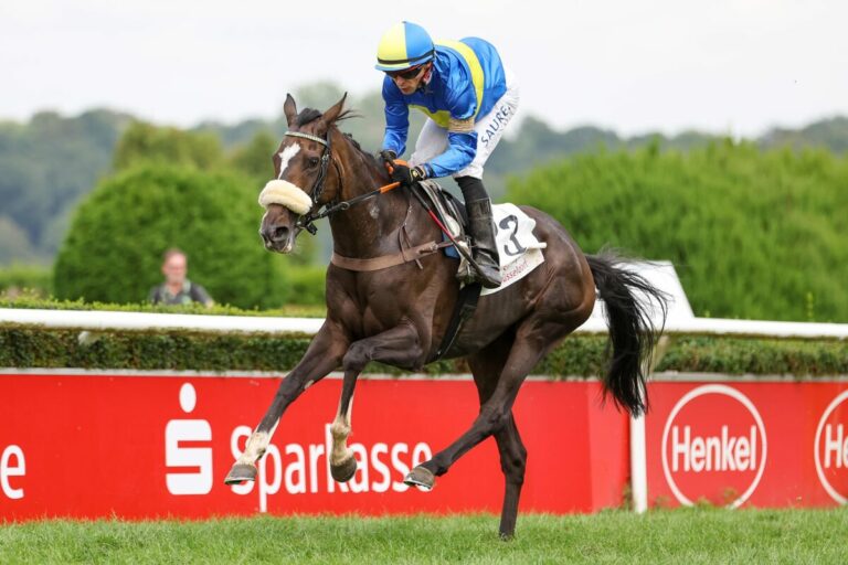 Überlegene Nita ist Hammer-Hansens zweiter Düsseldorf-Sieg