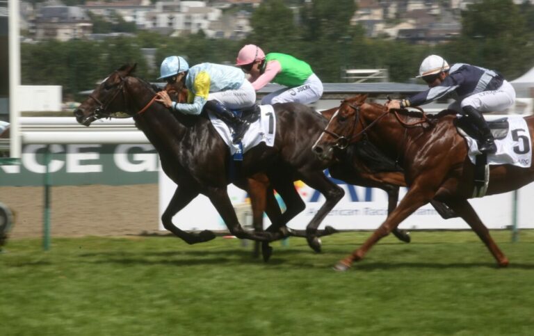 Bärenstarker Ghorgan Zweiter im Prix Daphnis